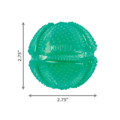 KONG Squeezz Dental Ball interaction avec un chien grand pour motivation et exercice