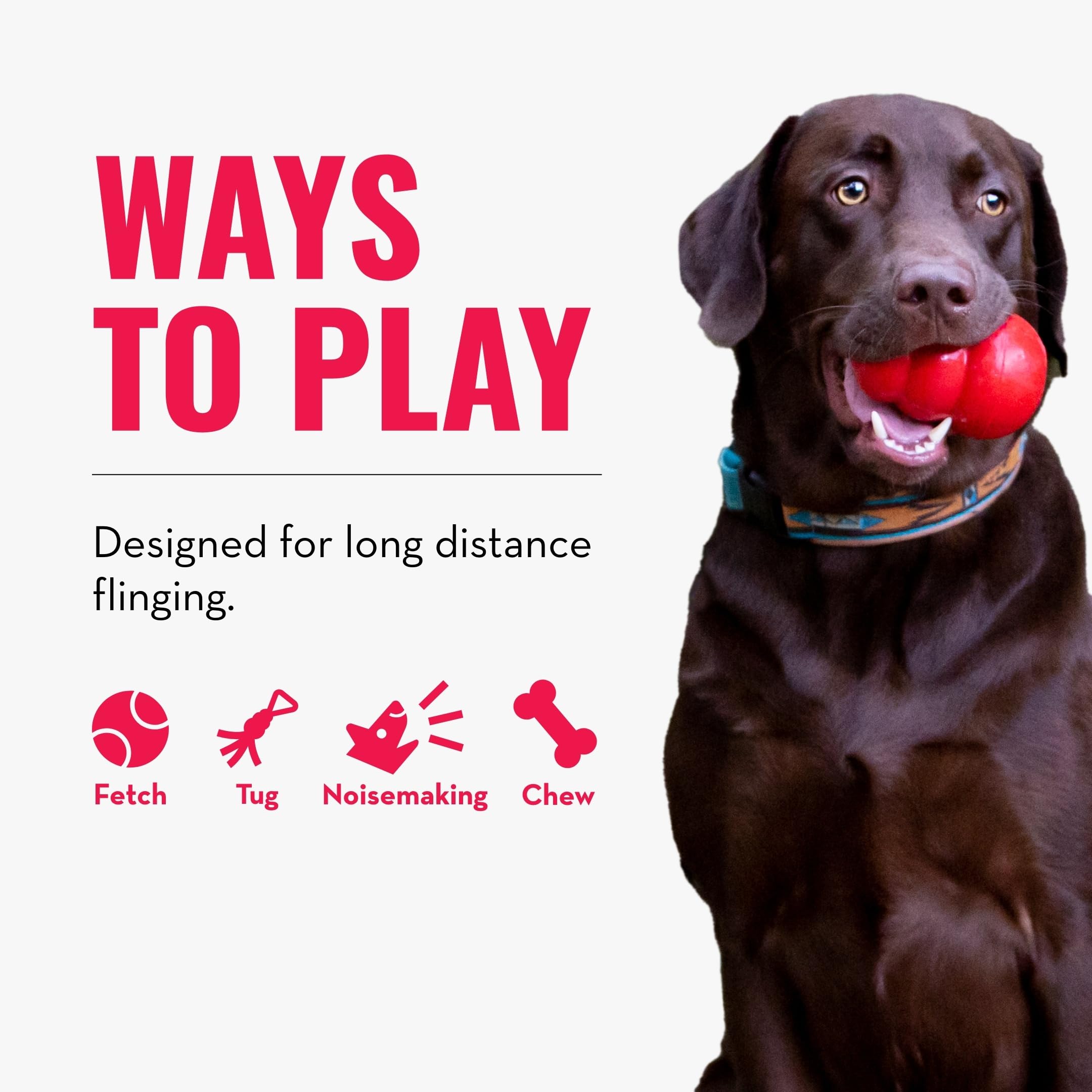 KONG Wubba Finz chiot jouant pour stimuler exercice et rapport