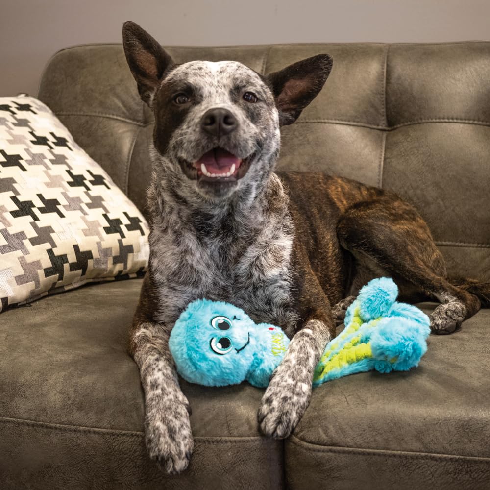 Scène domestique avec chien jouant au KONG Wubba Octopus, ambiance familiale