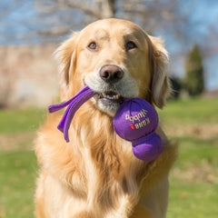 KONG Wubba XL chien tirant à la corde, stimule interaction maître-chien