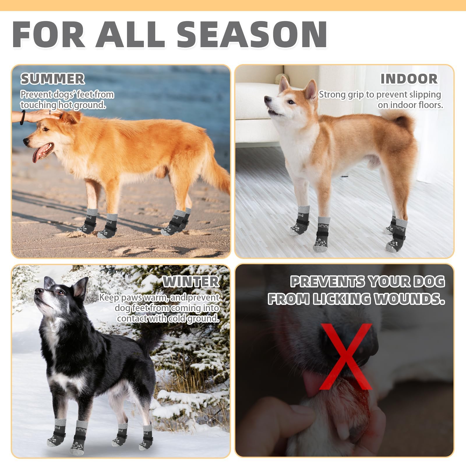 KOOLTAIL chien dans salon, protège parquet et limite glissements