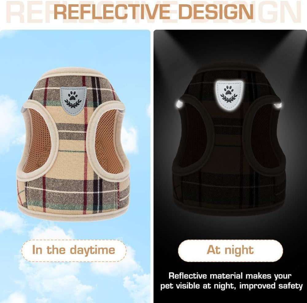 KOOLTAIL comparaison taille Small pour évaluer l’ajustement sur un petit chien