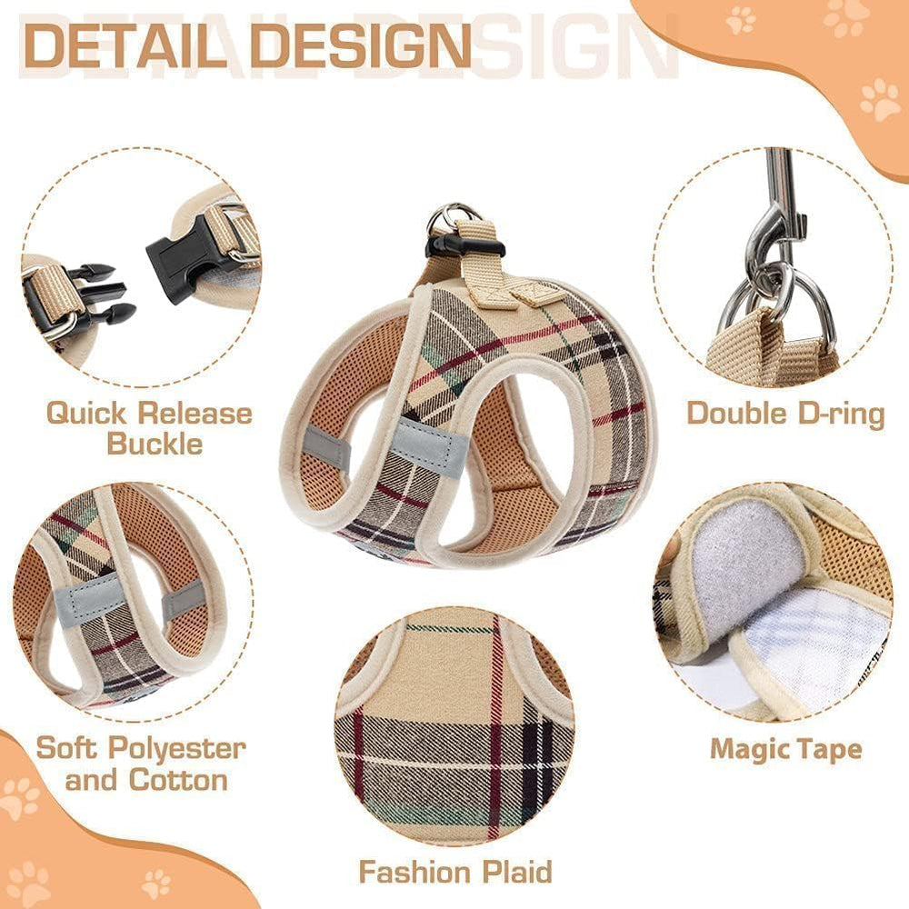 KOOLTAIL détail boucle et sangle robustes garantissant fixation sûre et réglable