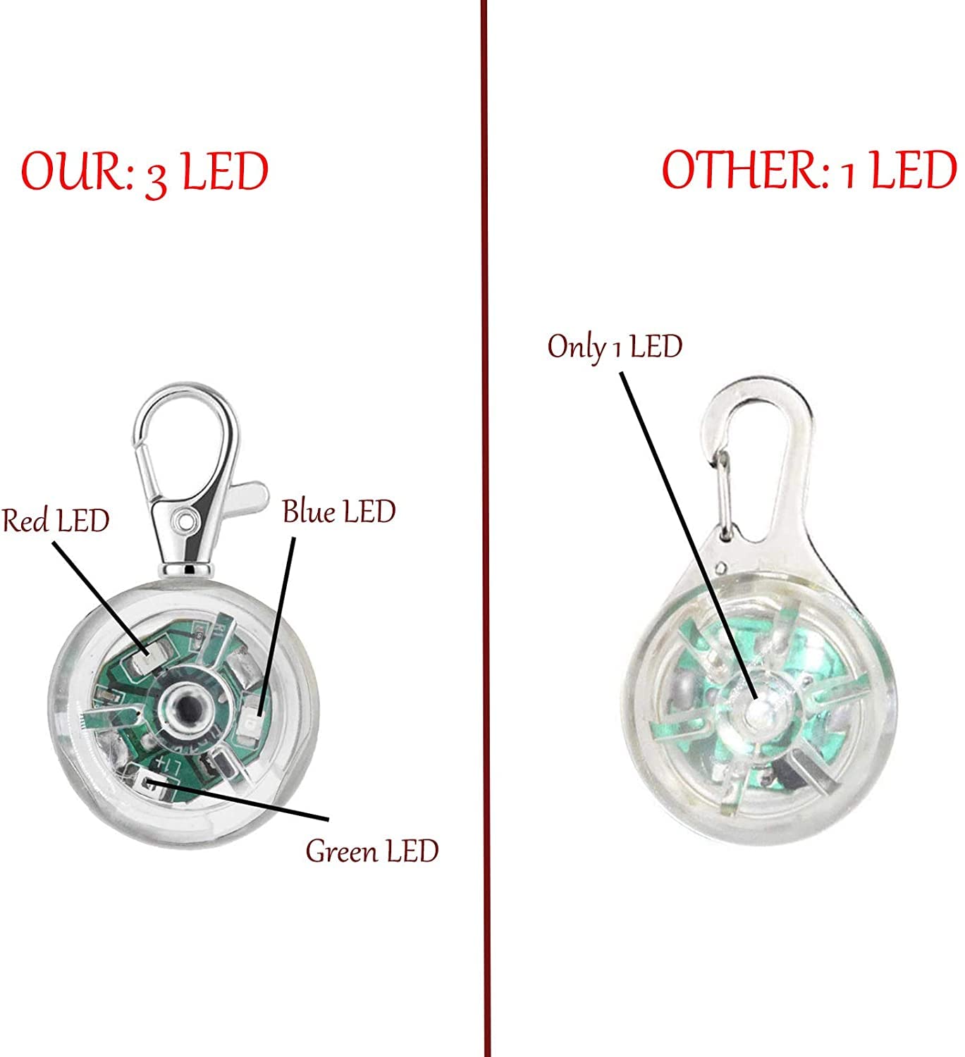 KOROICK lampe clipée sur collier durant une promenade, visibilité accrue