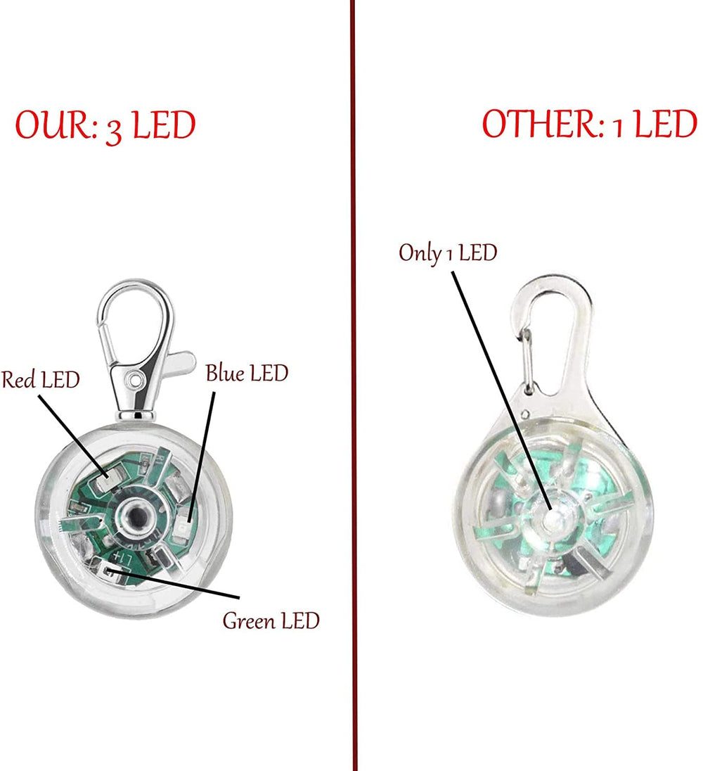 KOROICK lampe clipée sur collier durant une promenade, visibilité accrue