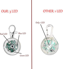 KOROICK lampe clipée sur collier durant une promenade, visibilité accrue
