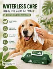Kpeanutail nettoyage de patte en usage, rapide et sans irritation
