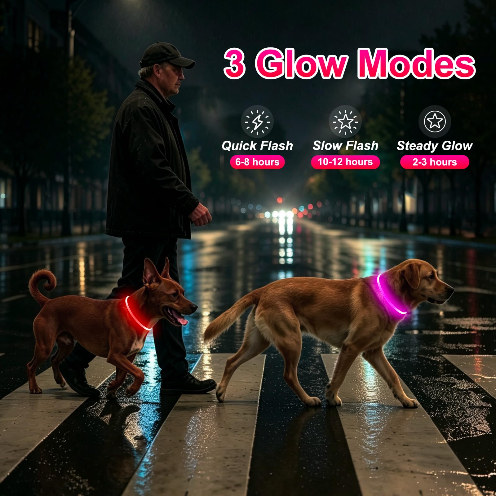 Kpuplol collier en usage la nuit visible sur chien pour promenade sûre