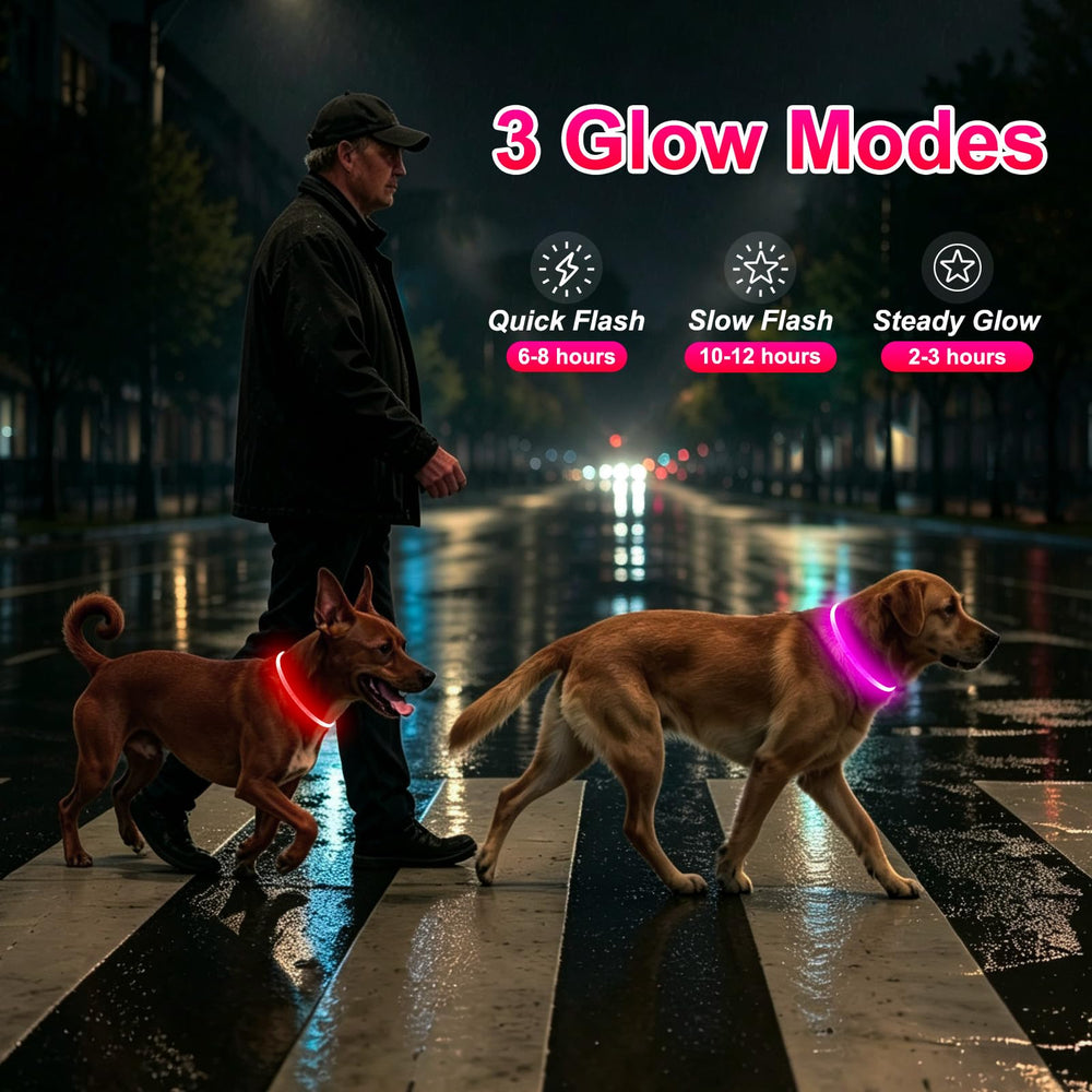 Kpuplol collier en usage la nuit visible sur chien pour promenade sûre