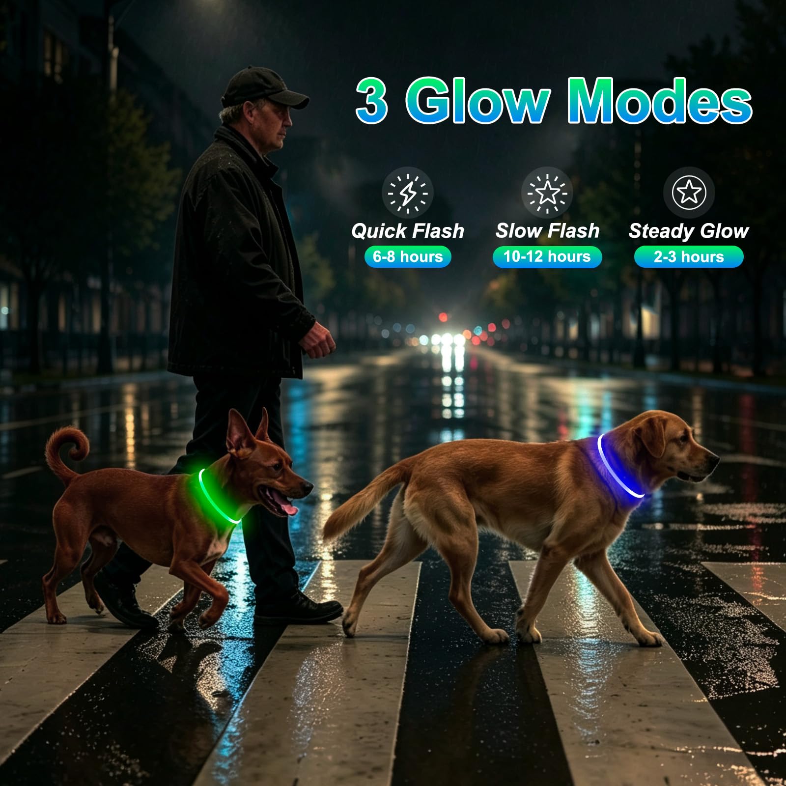 Kpuplol collier en usage promenade augmentant visibilité du chien la nuit