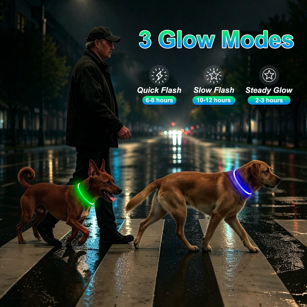 Kpuplol collier en usage promenade augmentant visibilité du chien la nuit