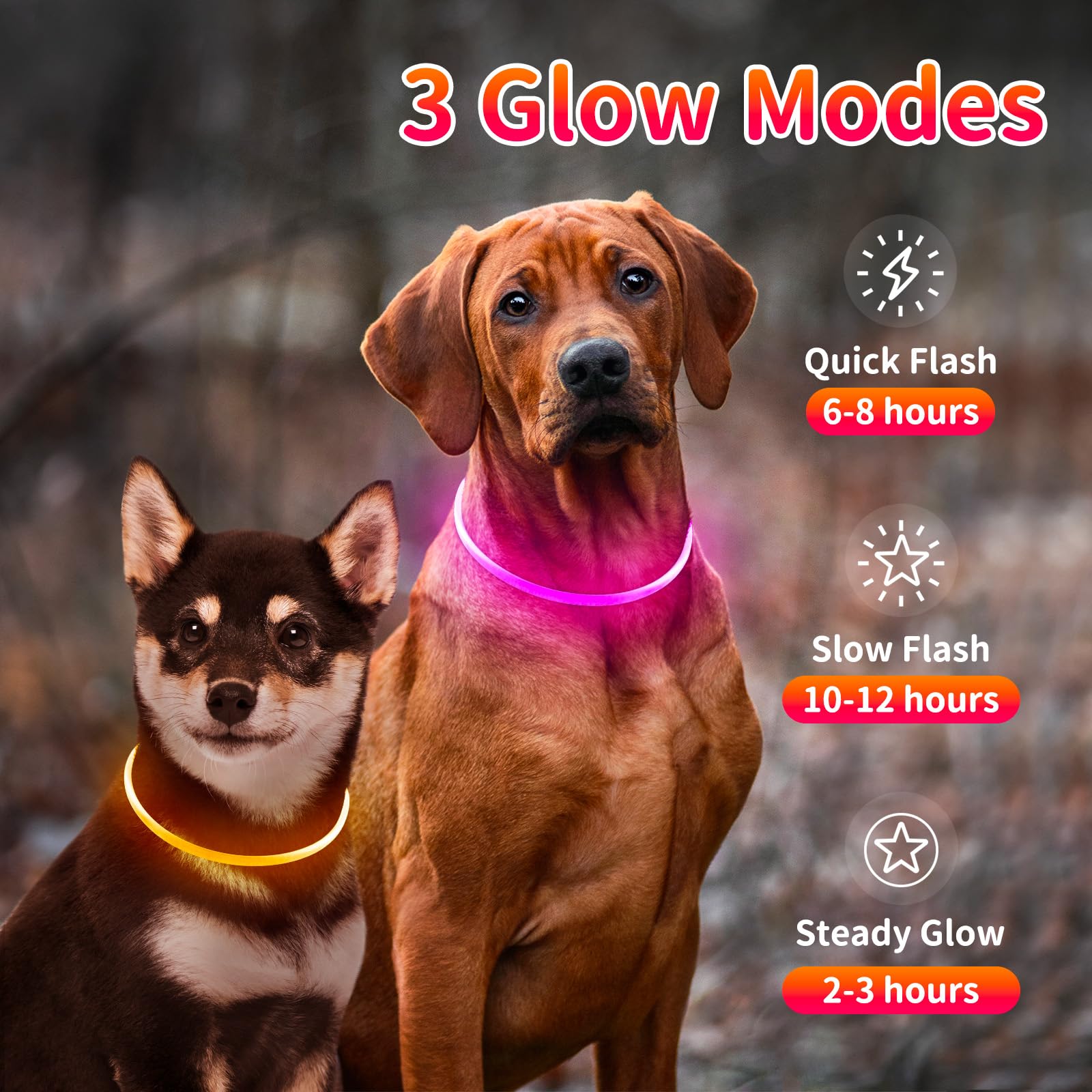 Kpuplol collier en usage la nuit rend le chien visible près de la route