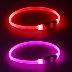 Kpuplol collier face avant montrant la bande LED pour sécurité nocturne