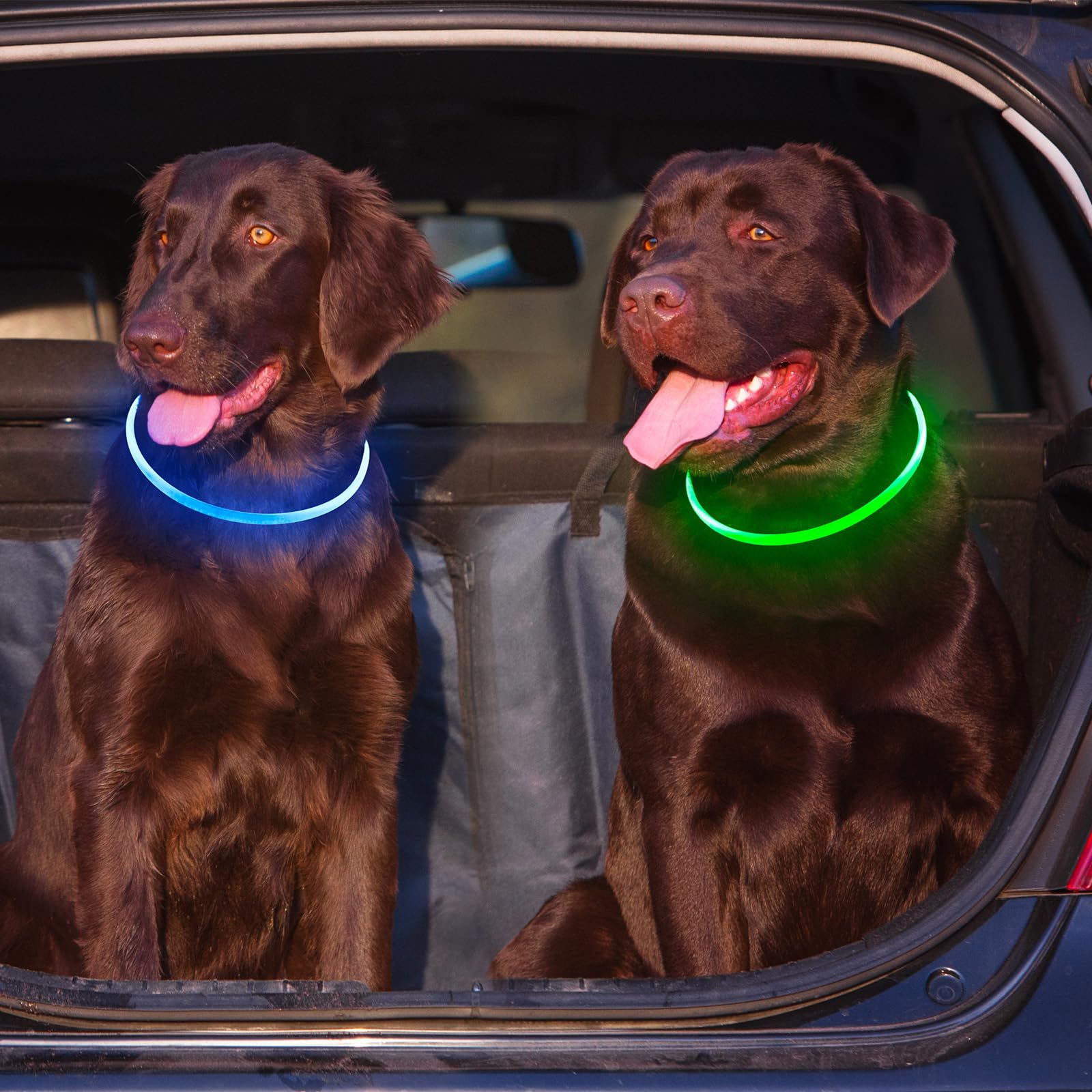 Kpuplol pack de deux colliers offrant une solution de secours instantanée