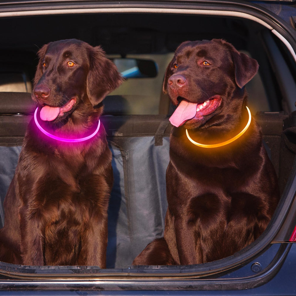 Kpuplol pack de deux colliers offre une solution de secours pratique