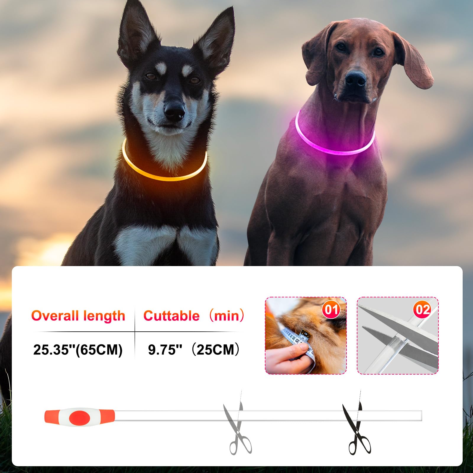 Kpuplol collier branché au port USB pour une recharge rapide