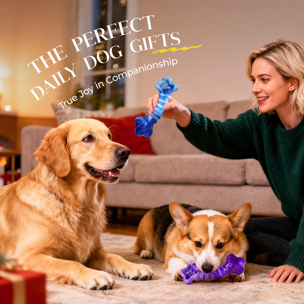 Kseroo couleurs festives présentation cadeau idéal pour Noël