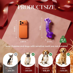 Kseroo chien en jeu utilisant jouet pour stimulation et exercice