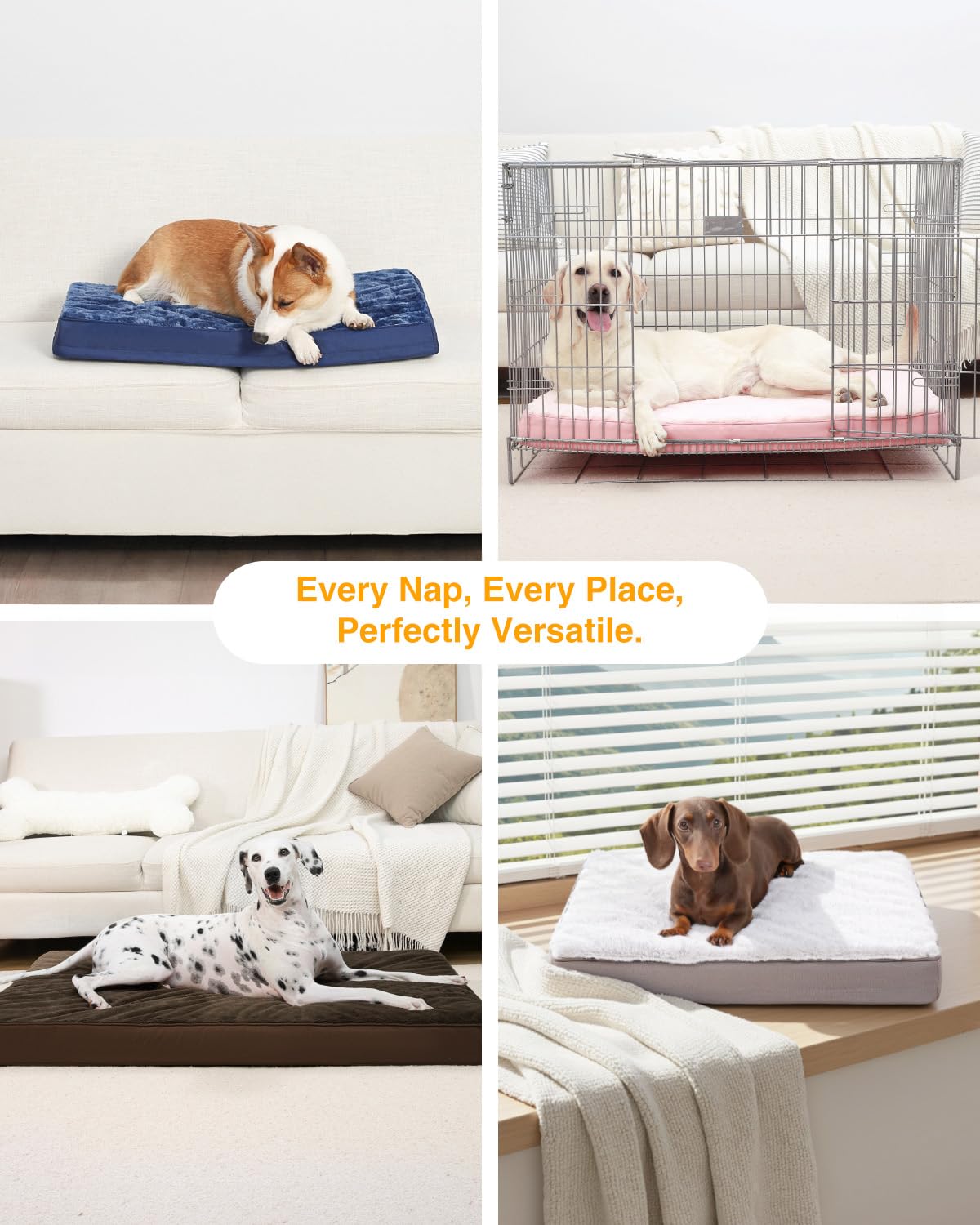 KSIIA comparaison de taille montrant adéquation pour chiens jusqu'à 60 lb