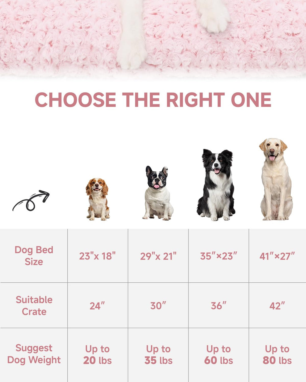 KSIIA comparaison taille montrant adaptation pour chiens moyens