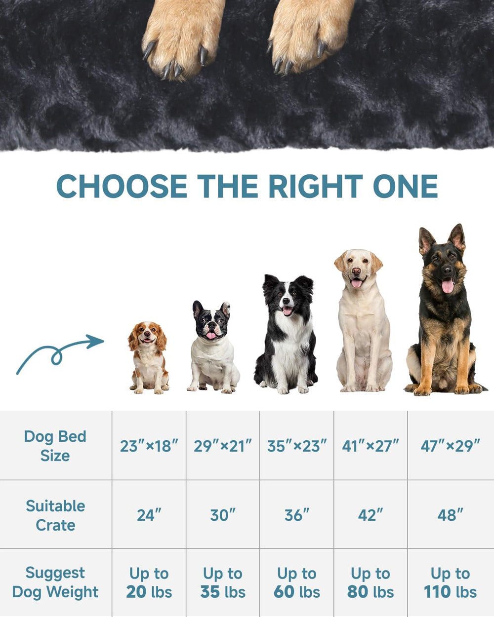 KSIIA comparaison taille pour chiens, convient aux grandes races