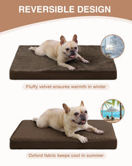 KSIIA face peluche offrant chaleur et confort pour petit chien