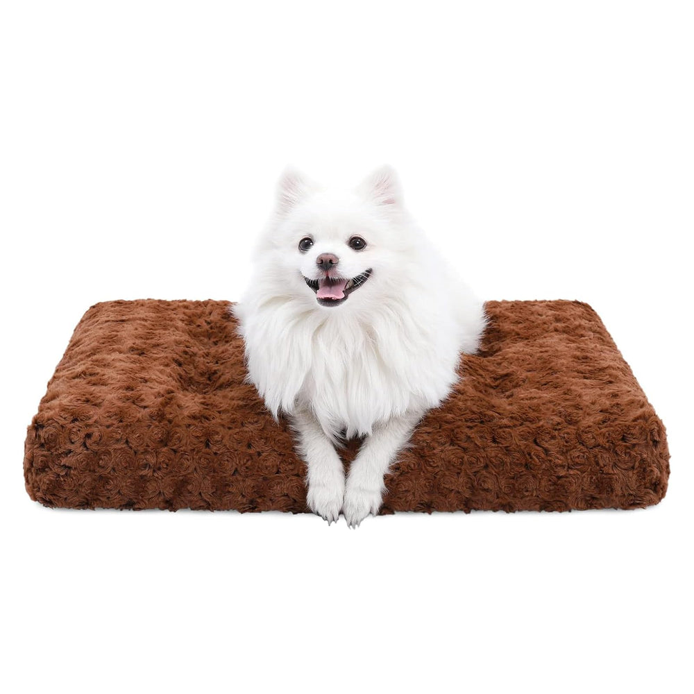 KSIIA lit de cage devant montrant matelas moelleux et confort