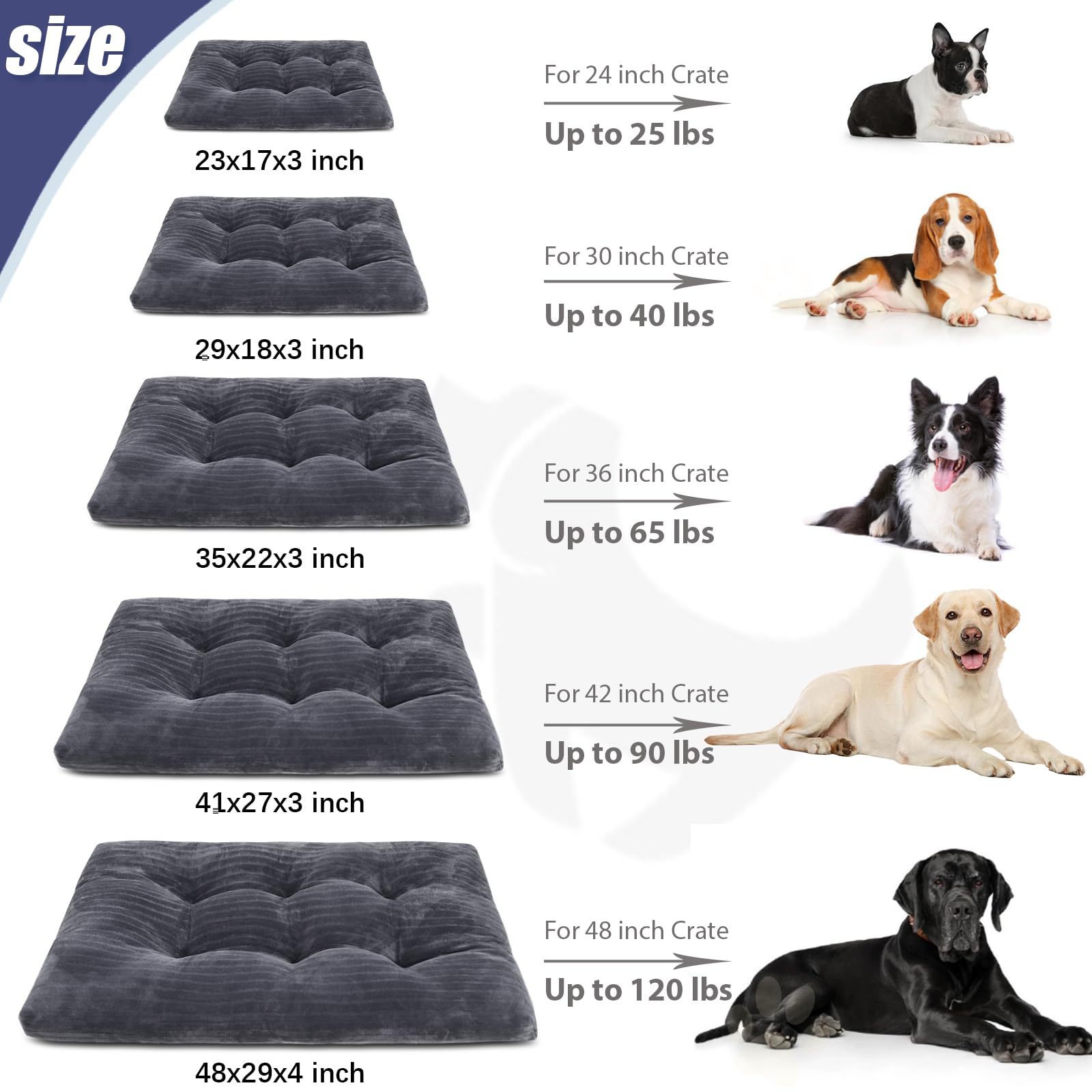 KSIIA comparaison d'échelle montrant dimensions 48x29 pouces claires