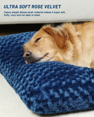 KSIIA gros plan velours montrant texture douce pour apaiser chien
