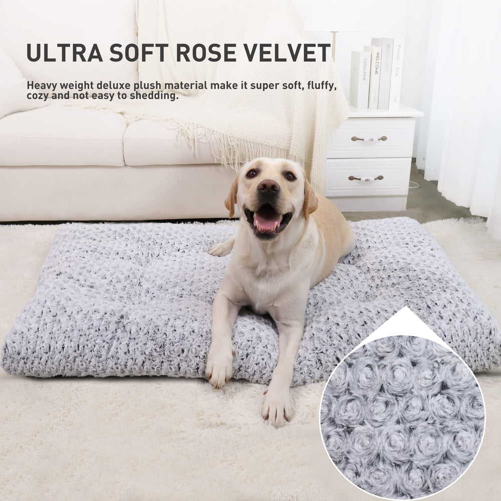 KSIIA gros plan velours rose, douceur apaisante pour chien
