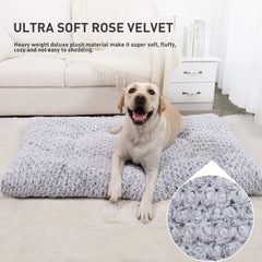 KSIIA gros plan velours rose, douceur apaisante pour chien