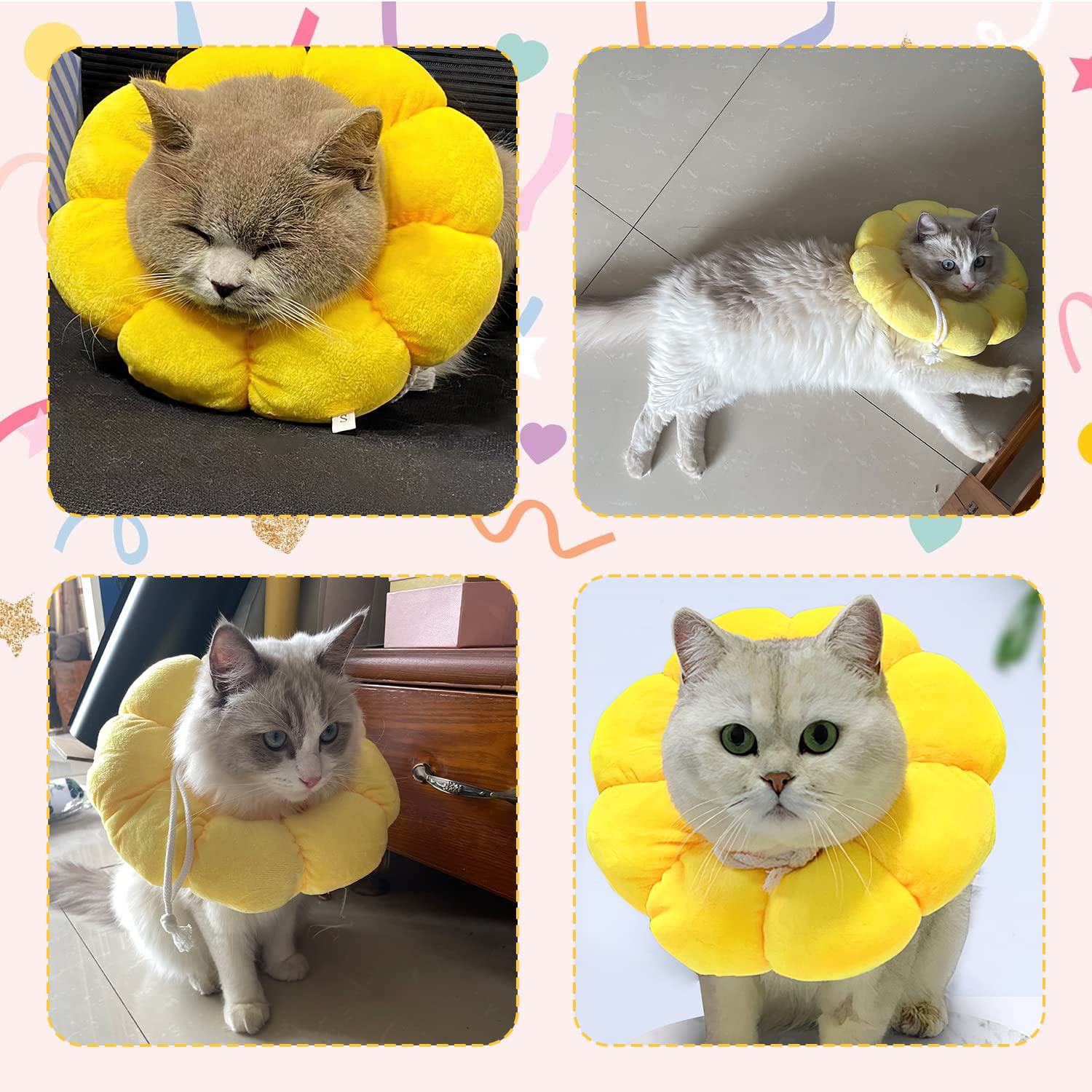 KUDES collerette portée par chat montrant liberté de mouvement