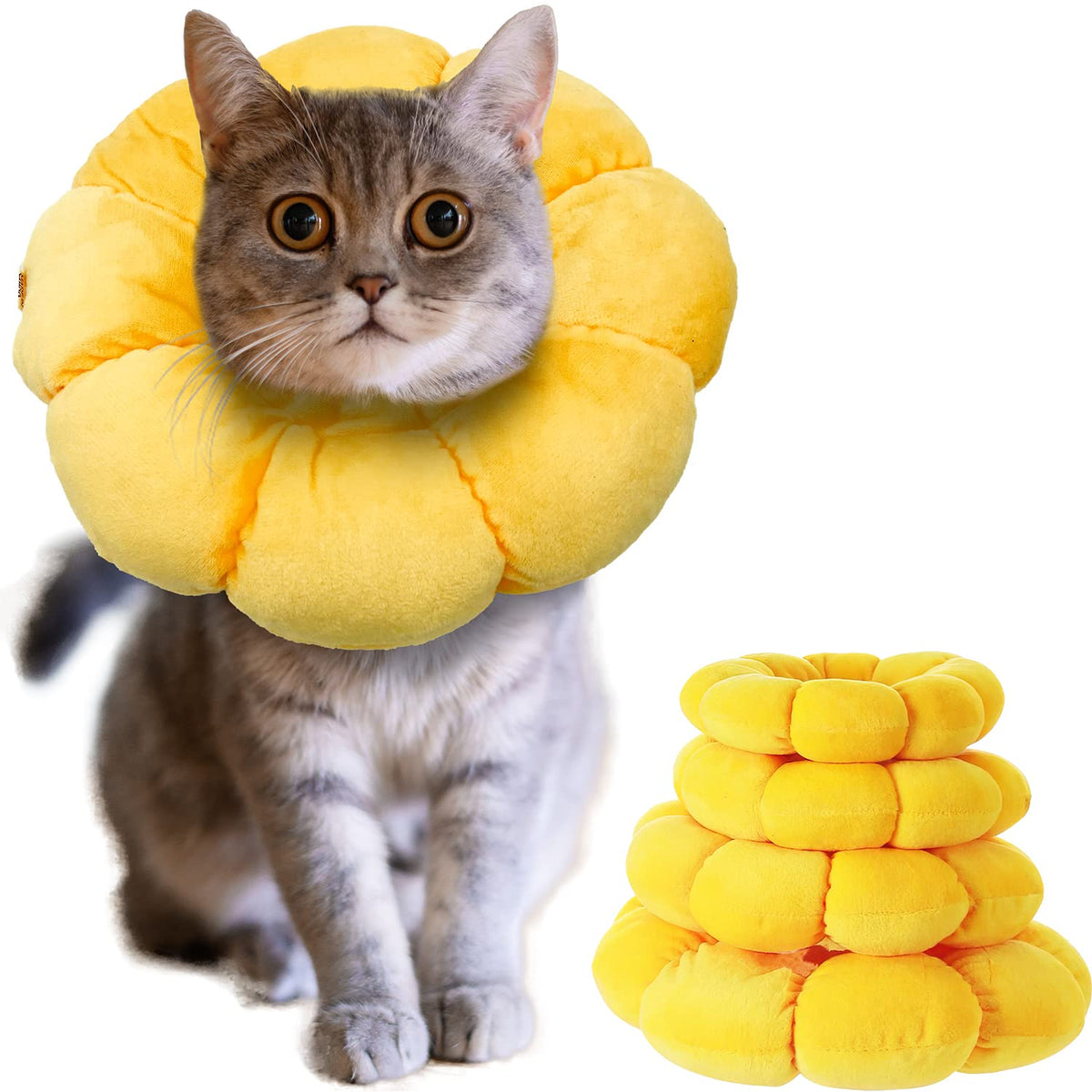 KUDES collerette tournesol vue de face montrant forme et ouverture, confort visuel