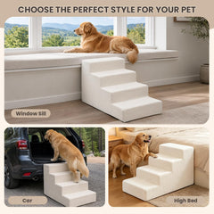 kuitenz chien monte l'escalier en usage et gagne en confiance