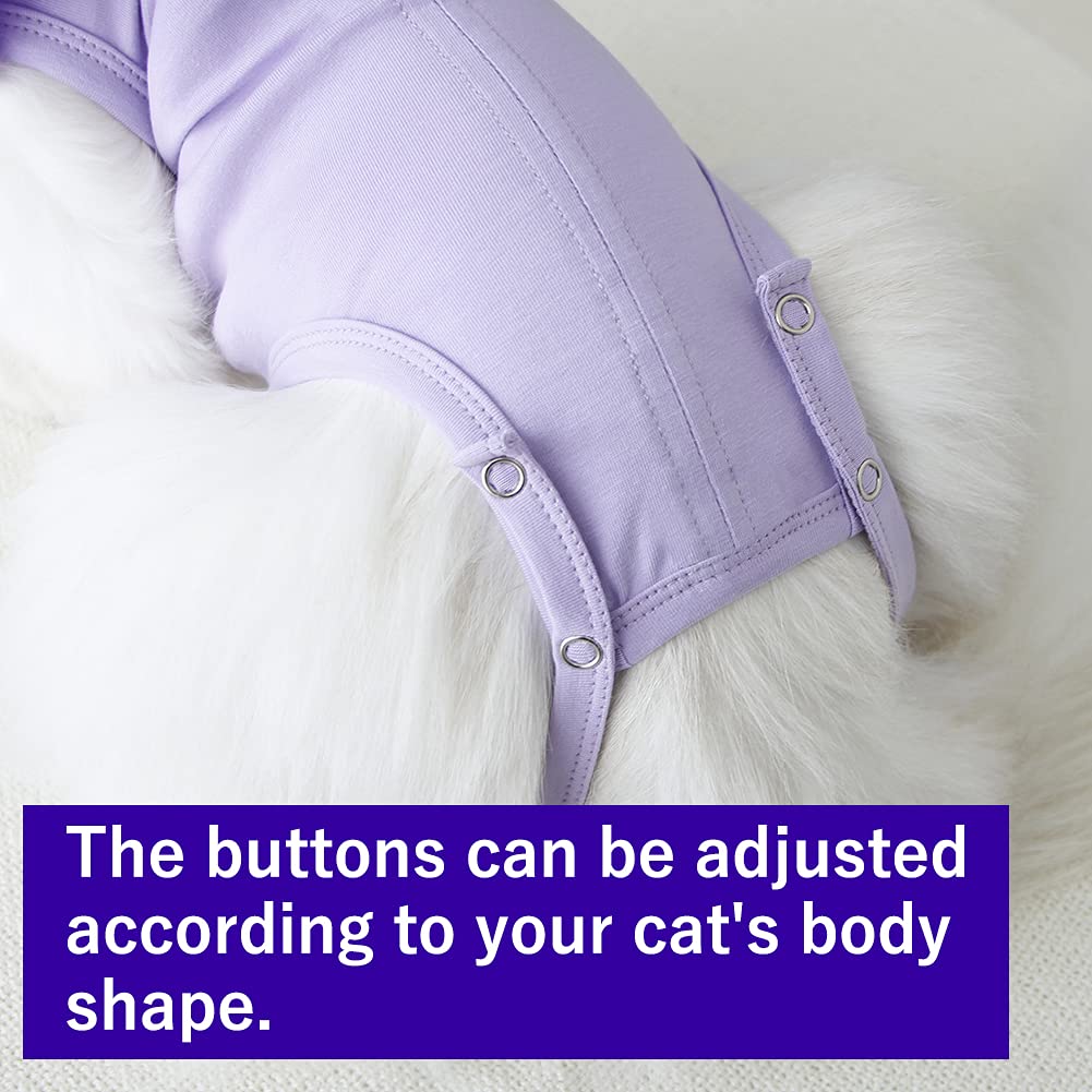 Kukaster Pet col plissé en dentelle assurant maintien discret