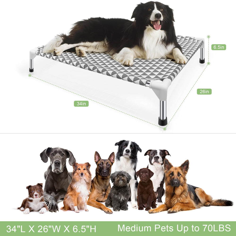 Kuntrust comparaison taille avec chien illustrant capacité jusqu'à 32 kg