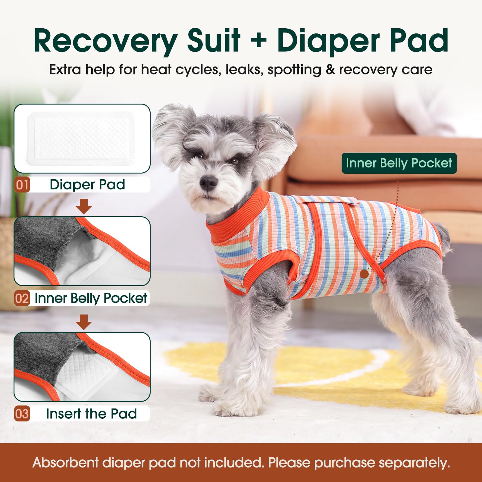 Kuoser chat détendu sur canapé grâce à la protection confortable