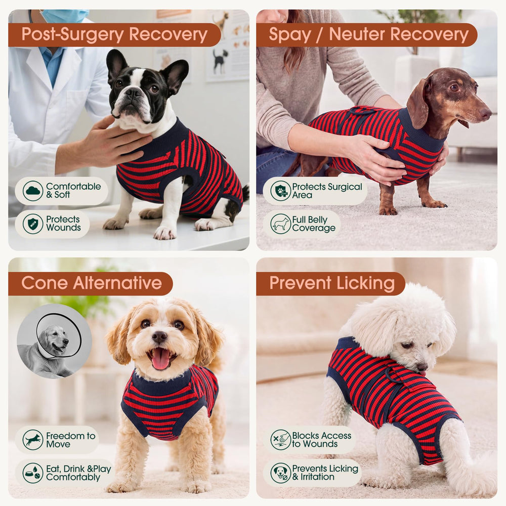 Kuoser sur chien en promenade illustrant mobilité et confort postopératoire