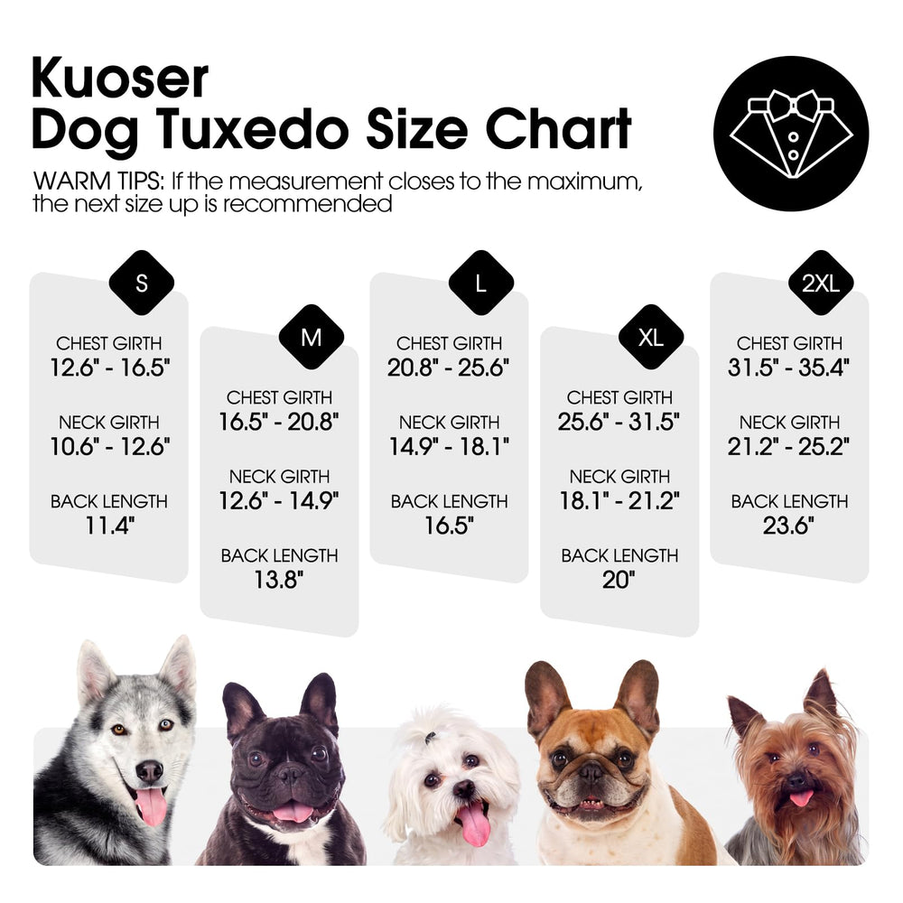 Kuoser chien portant costume lors d'un événement montrant rendu photo professionnel