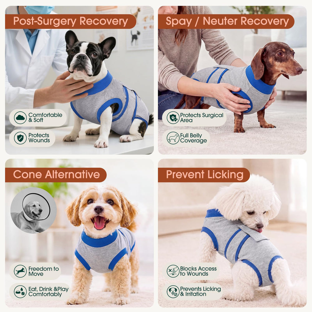 Kuoser chien porte intérieur montre liberté de mouvement