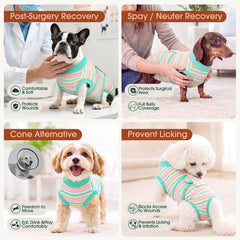 Kuoser chiot reposant dans la combinaison, mobilité libre et protection Kuoser