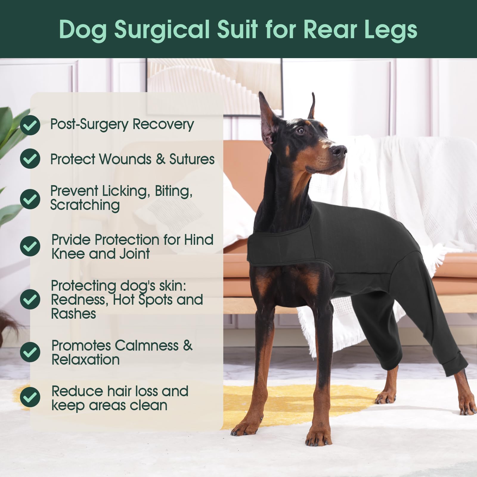 Kuoser comparaison de tailles sur chien pour choix précis et adapté