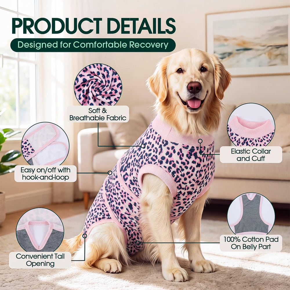 kuoser démonstration d’échelle pour choisir la taille adaptée au chien
