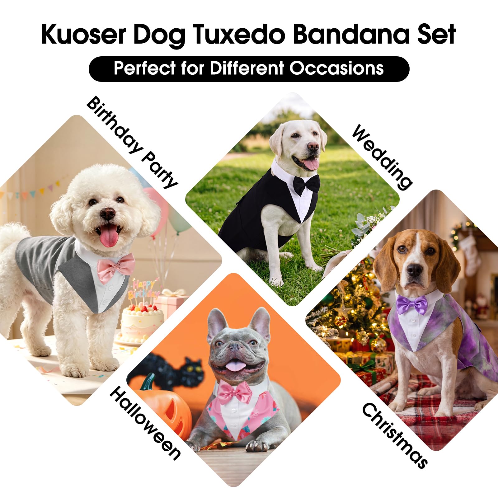 Kuoser comparaison de taille sur chien aidant à choisir la bonne coupe