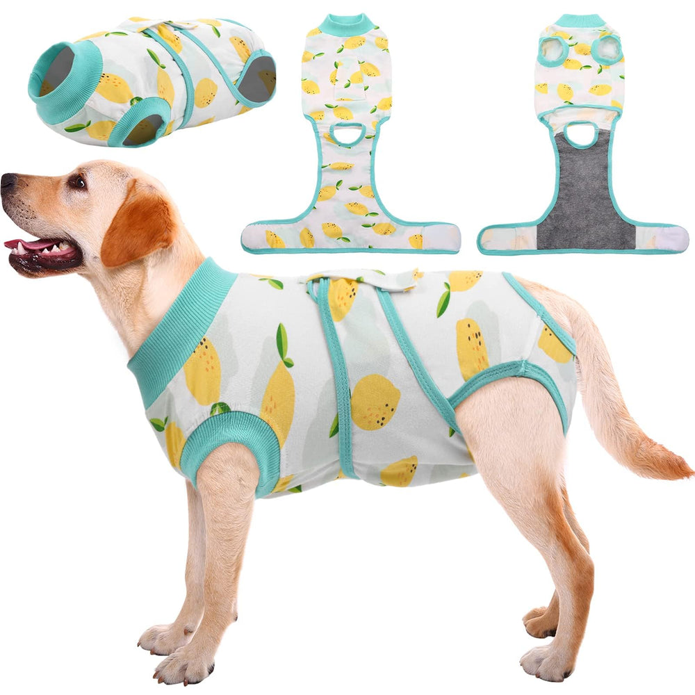 Kuoser vue de face sur chien montrant protection post-opératoire confortable