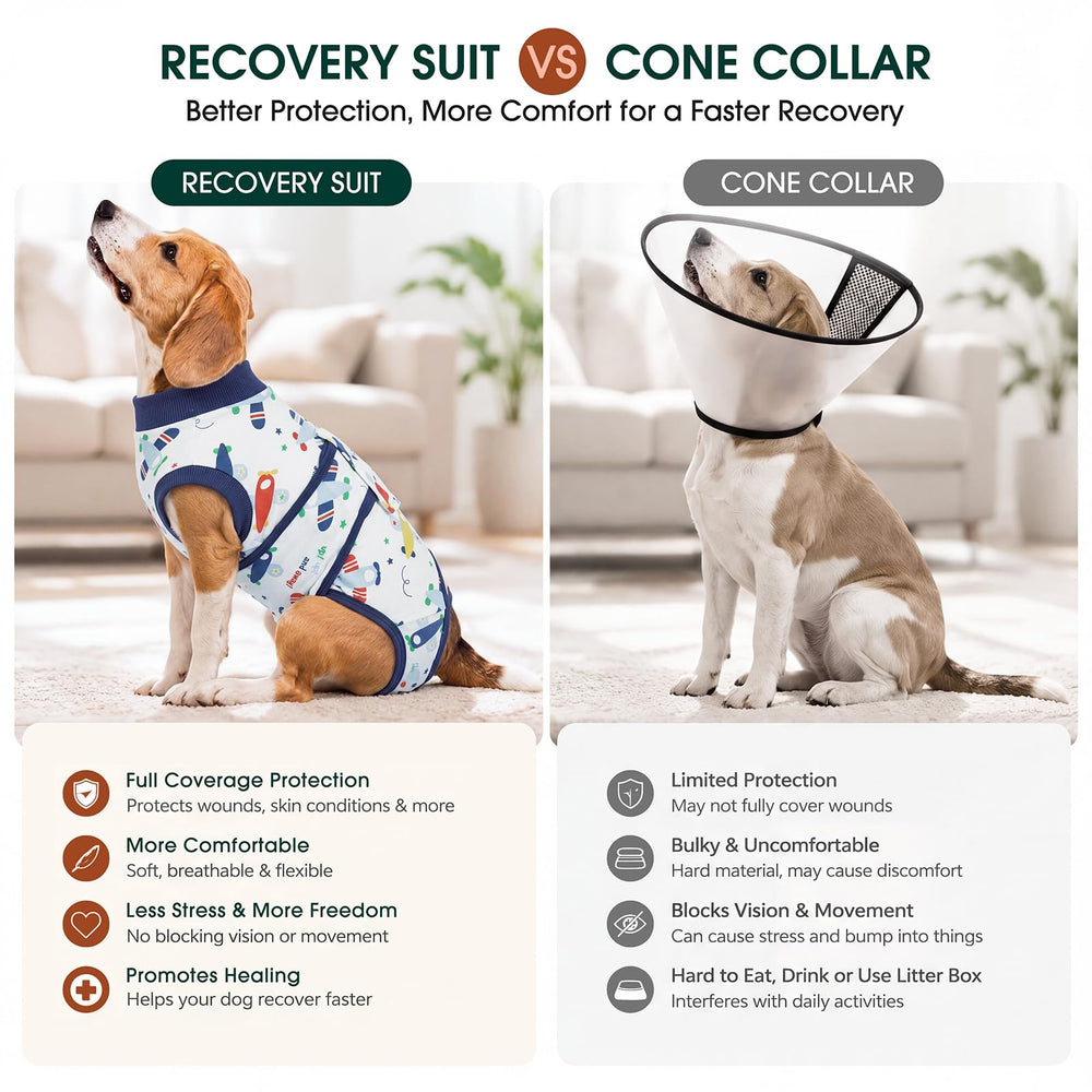 Kuoser en usage chien marchant librement, protection sans collerette inconfortable