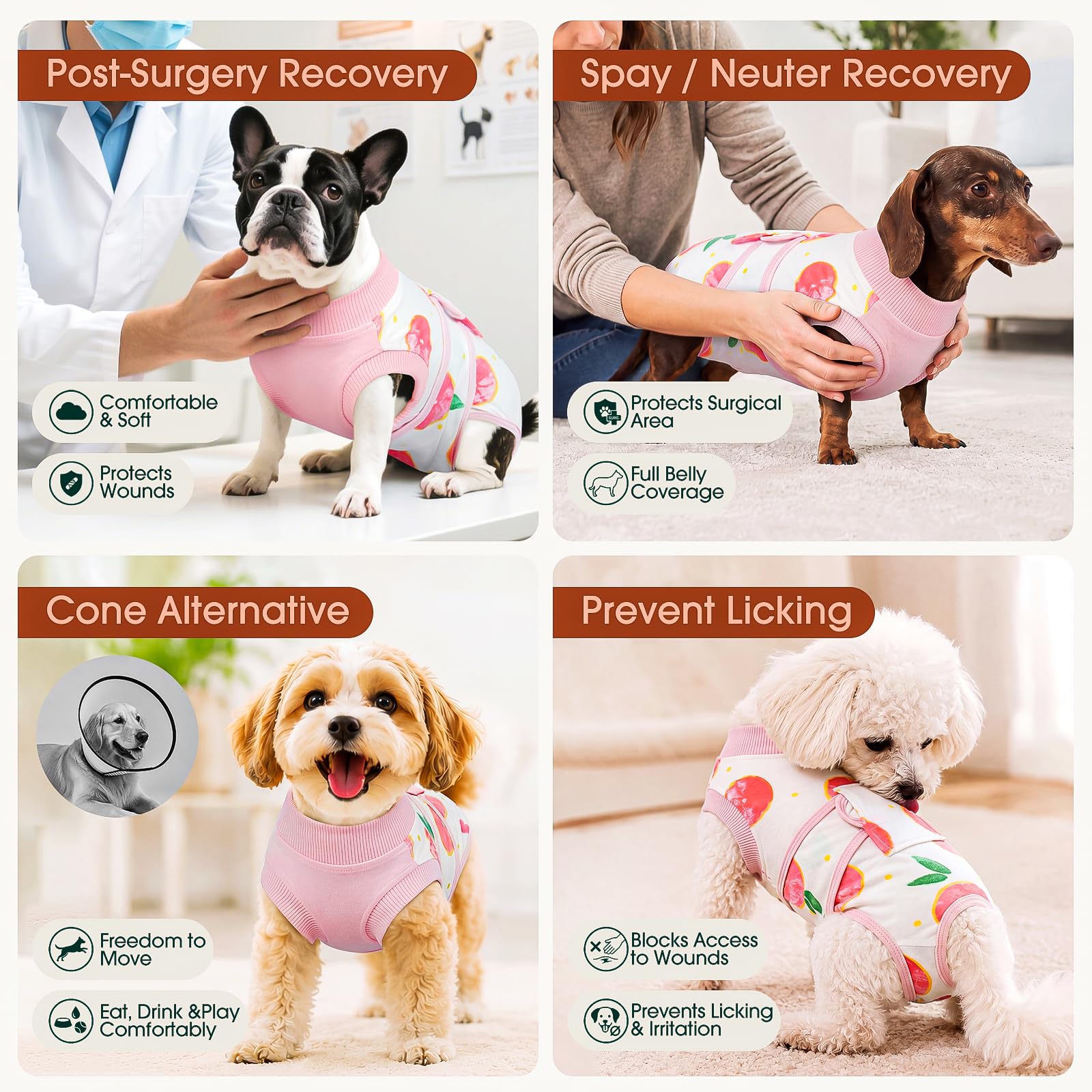 Kuoser porté par un chien calme protégeant cicatrice et favorisant repos