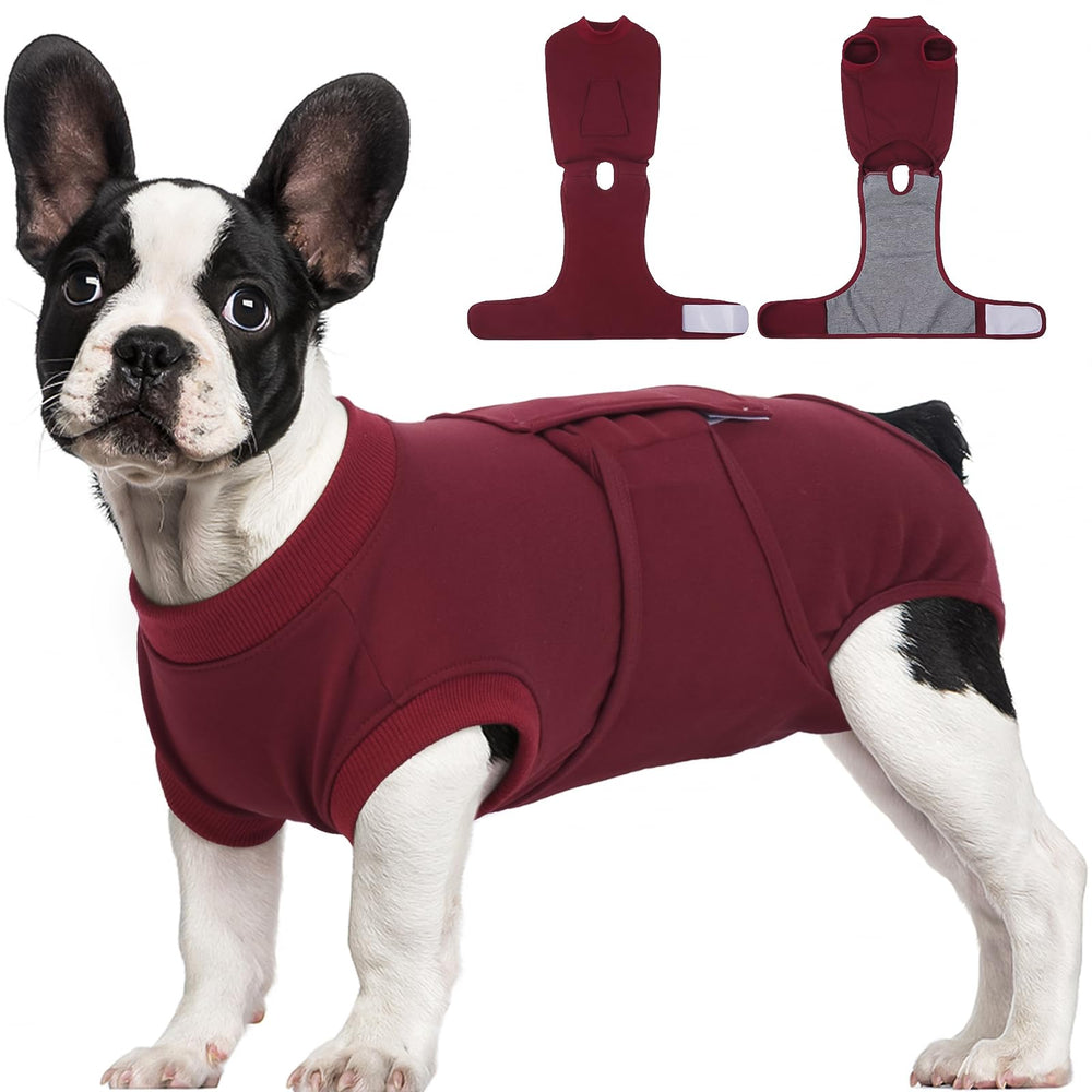 Kuoser vue de face sur chien, protection post-opératoire confortable