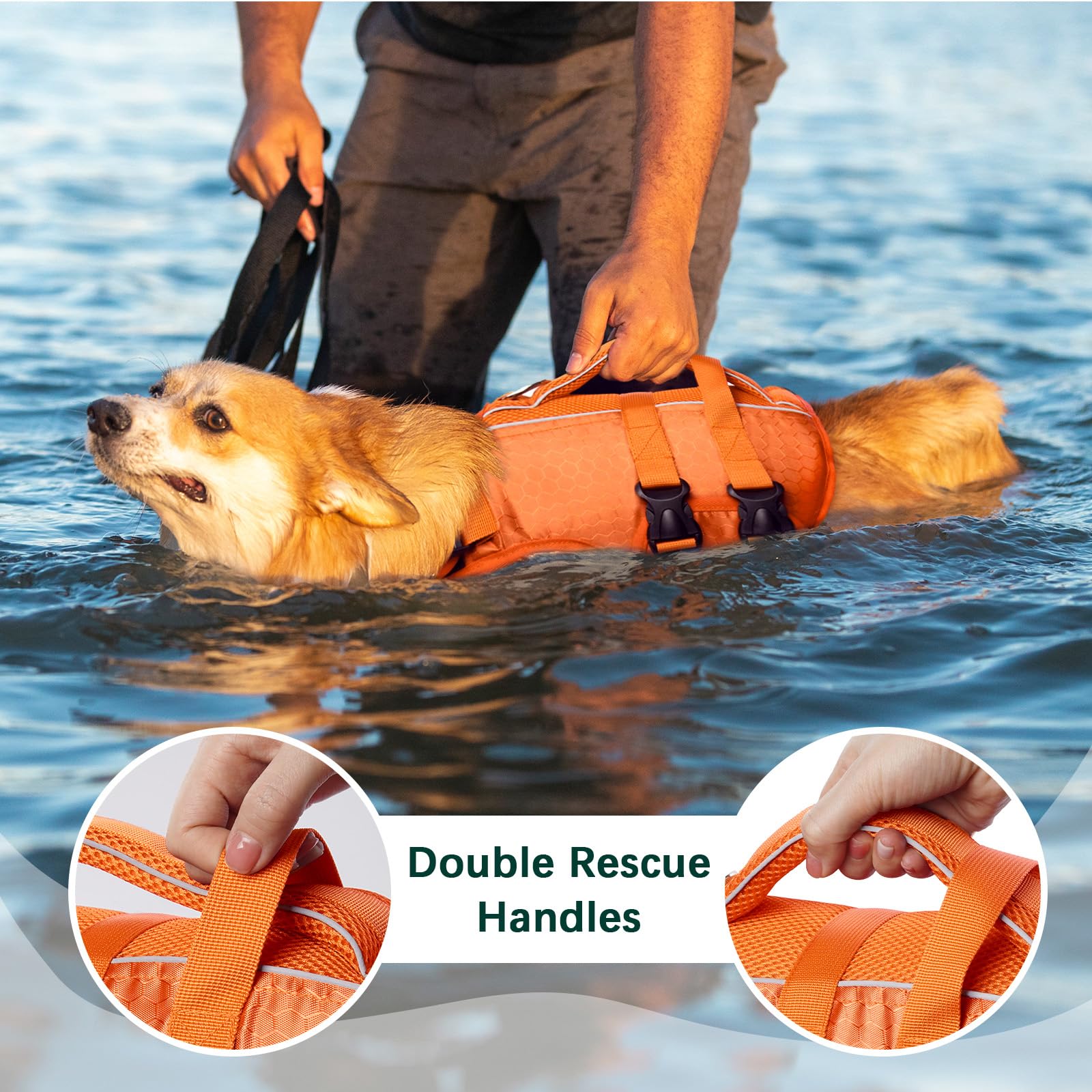 Kuoser chiot nageant en gilet pour sécurité aquatique