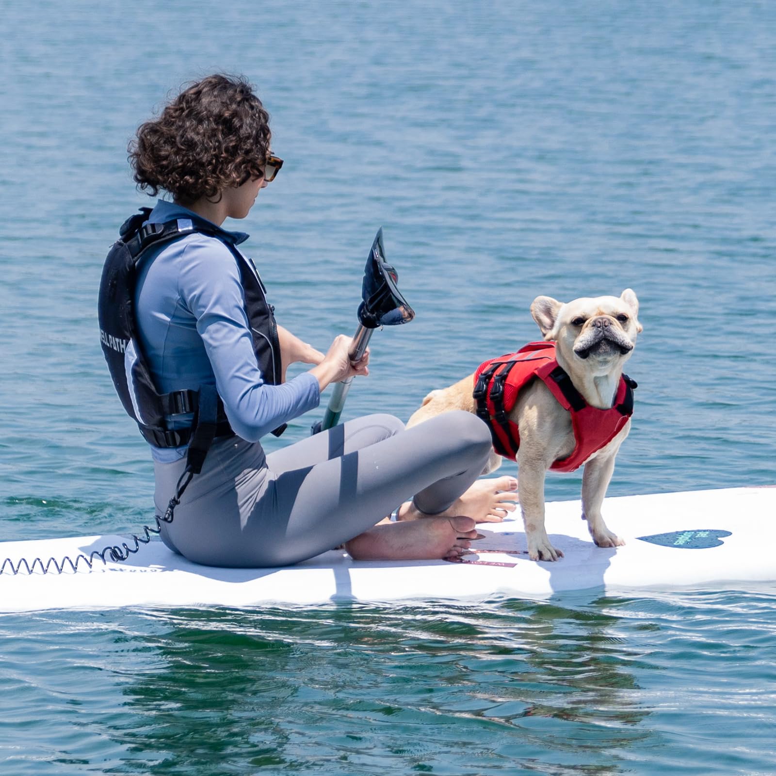 Kuoser gilet en utilisation sur Labrador pour protection aquatique